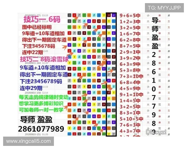 北京飞船开奖结果最新公布查询与数据分析 北京飞船开奖结果最新公布查询与数据分析